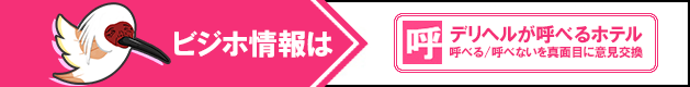 その他のビジネスホテルを見る